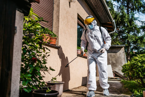 Best Insect Control  in Sparta, IL