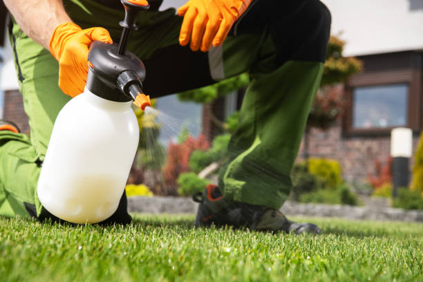 Pest Control Cost in Sparta, IL
