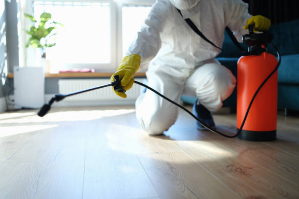 Best Flea Control Services  in Sparta, IL