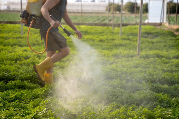 Best Affordable Pest Control Services  in Sparta, IL