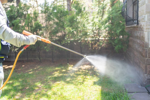 Best Pest Inspection Near Me  in Sparta, IL