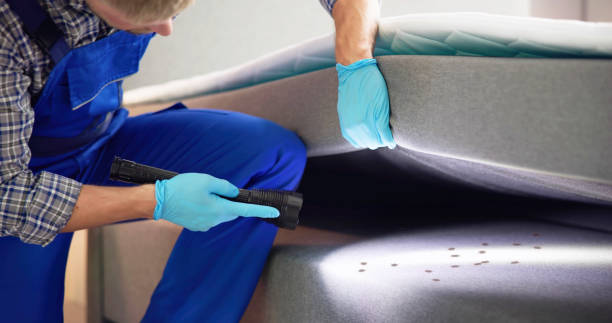 Trusted Sparta, IL Pest Control Experts