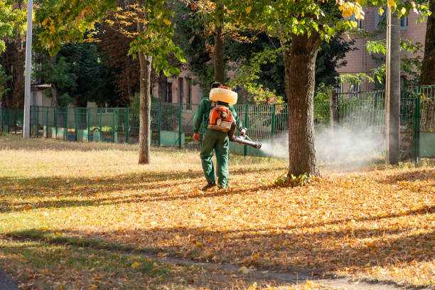Best Pest Prevention Services  in Sparta, IL
