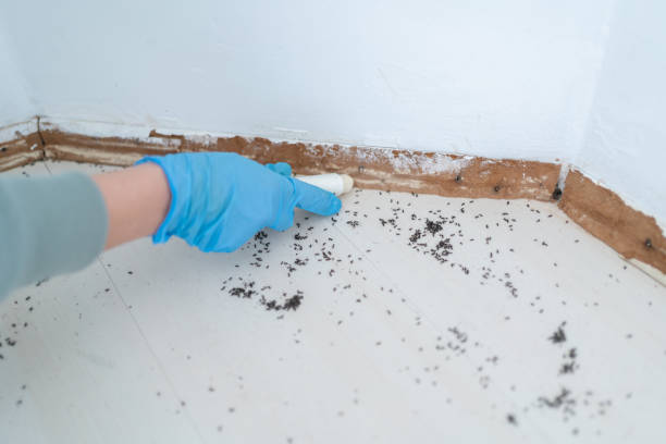 Best Wildlife Control Services  in Sparta, IL