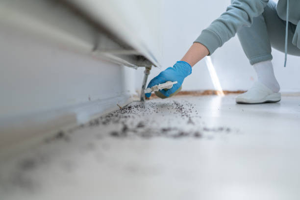 Best Exterminator Services  in Sparta, IL